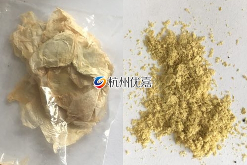 如何利用宋慈高通量多樣品組織研磨儀研磨植物組織？