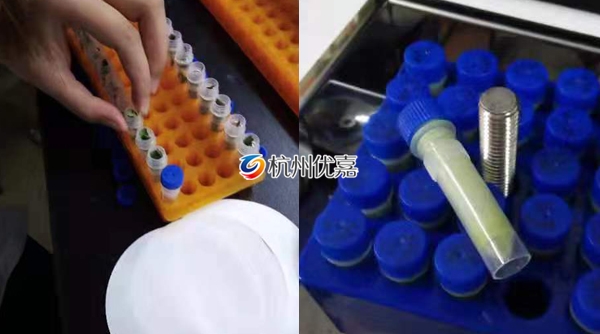 宋慈研磨儀批量研磨植物組織，速度快，重復(fù)性好