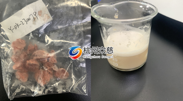 宋慈全自動組織研磨儀研磨老鼠成骨實(shí)驗(yàn)案例